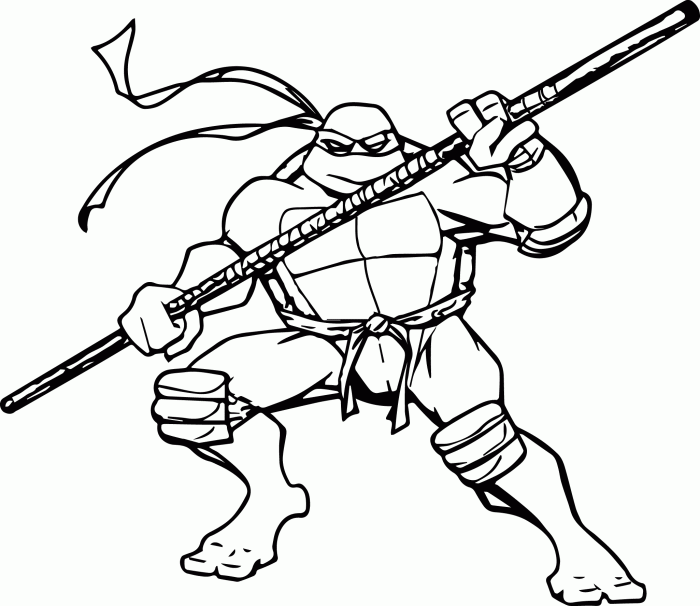 Ninja turtles coloring book