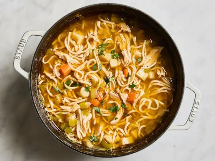 Chicken noodle soup recipe chicken noodle soup recipe