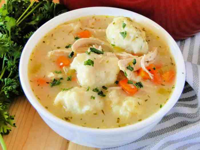 Chicken dumpling soup recipes