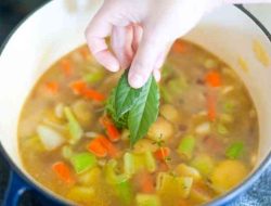 Creamy Vegetable Soup Recipes A Culinary Delight