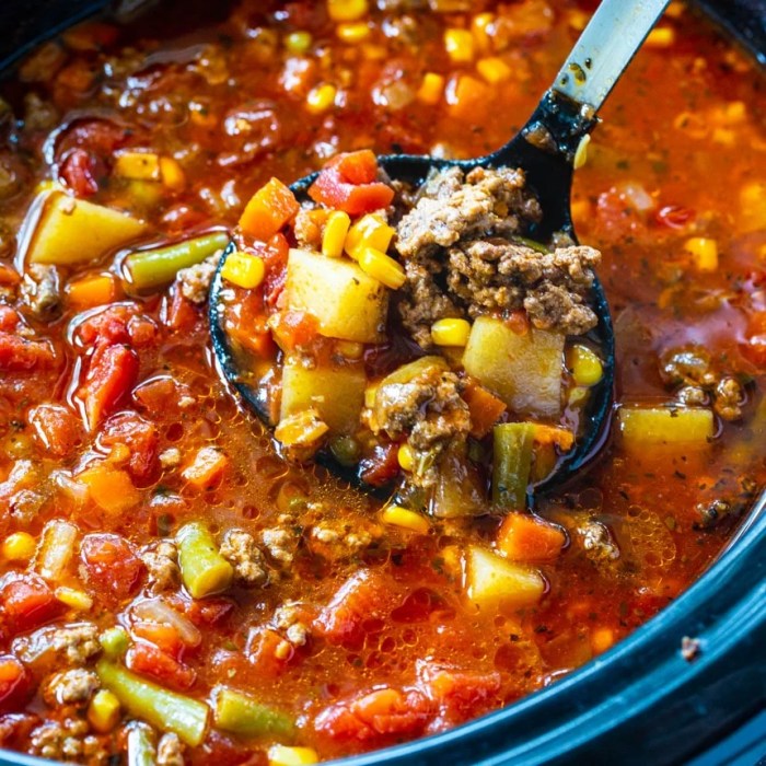 Veggie beef soup recipe crock pot