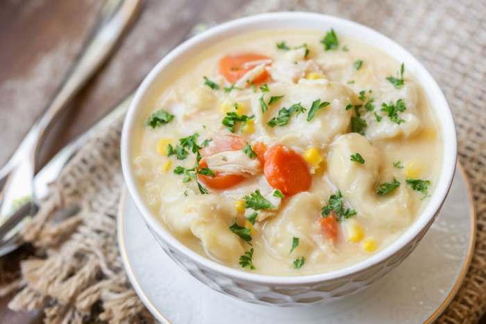 Chicken dumpling soup recipes