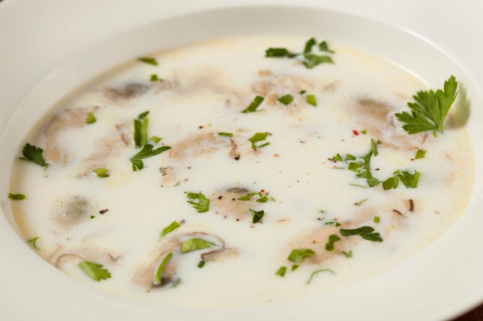 Recipe oyster soup