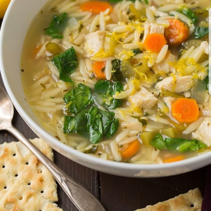 Chicken orzo soup recipes