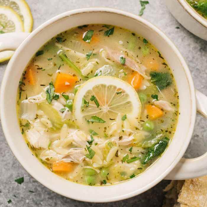 Chicken orzo soup recipes